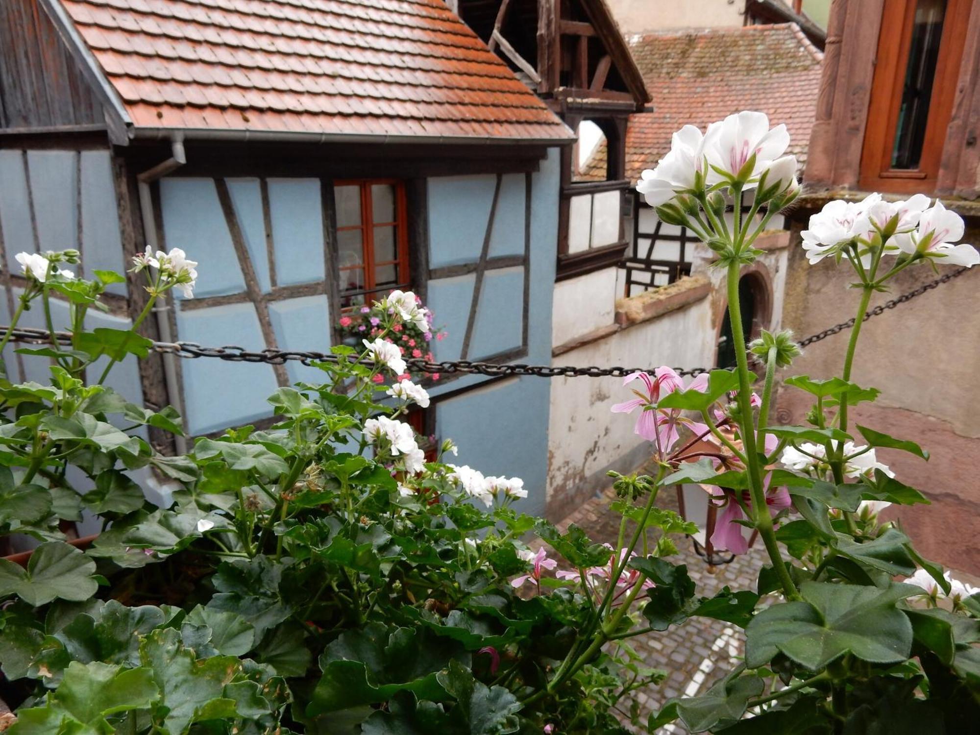 An Apartment In A 17Th Century Wine Grower S House Riquewihr Esterno foto