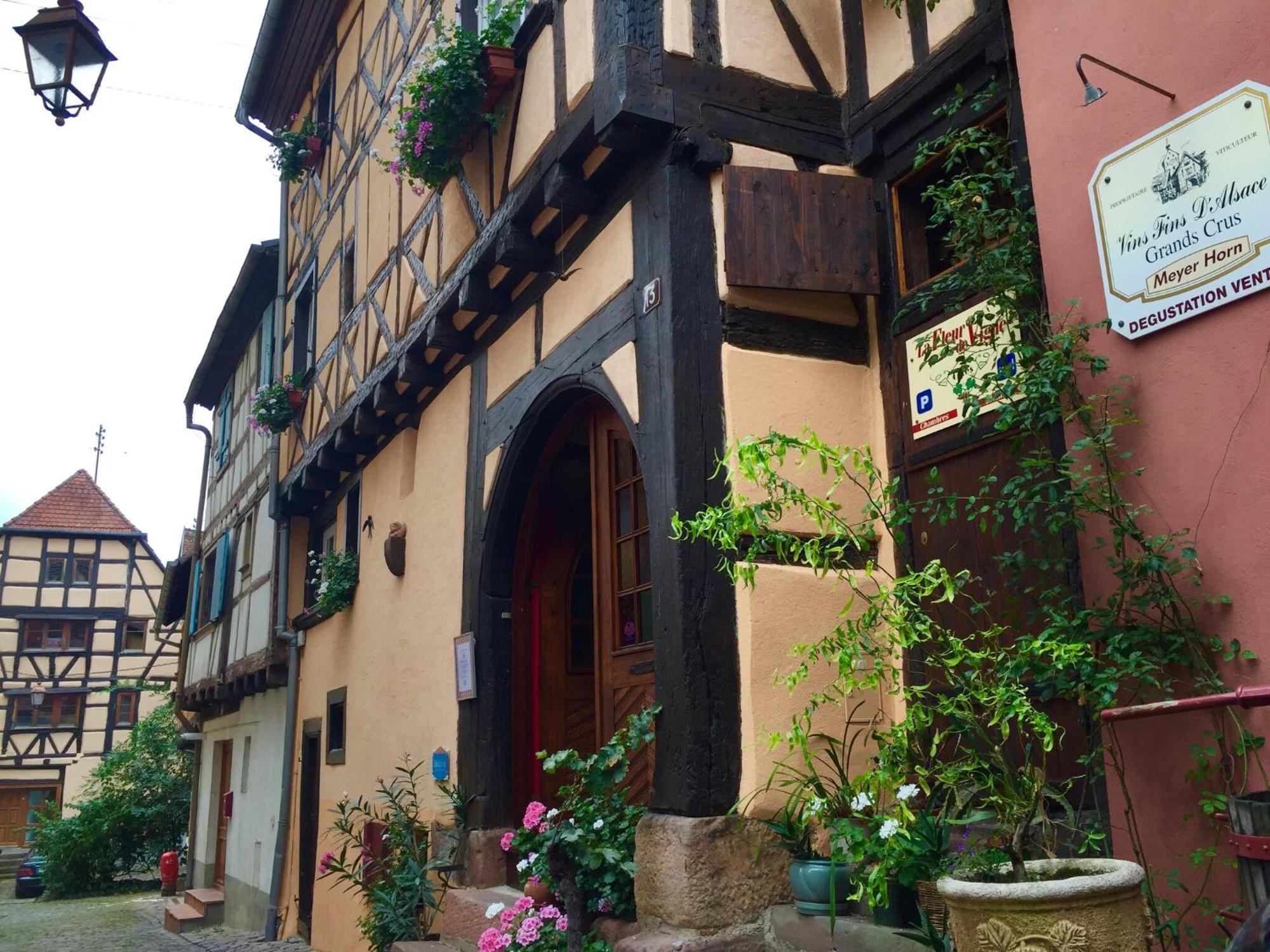An Apartment In A 17Th Century Wine Grower S House Riquewihr Esterno foto