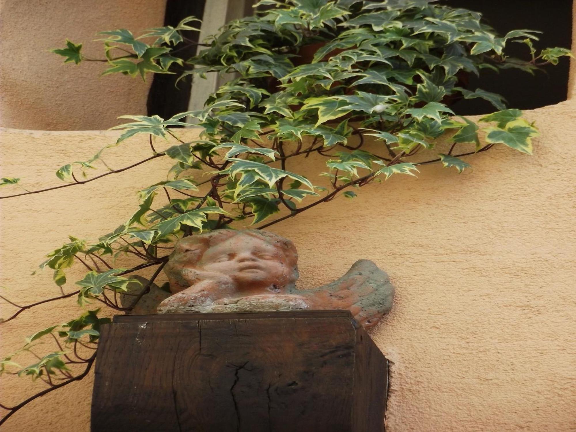 An Apartment In A 17Th Century Wine Grower S House Riquewihr Esterno foto