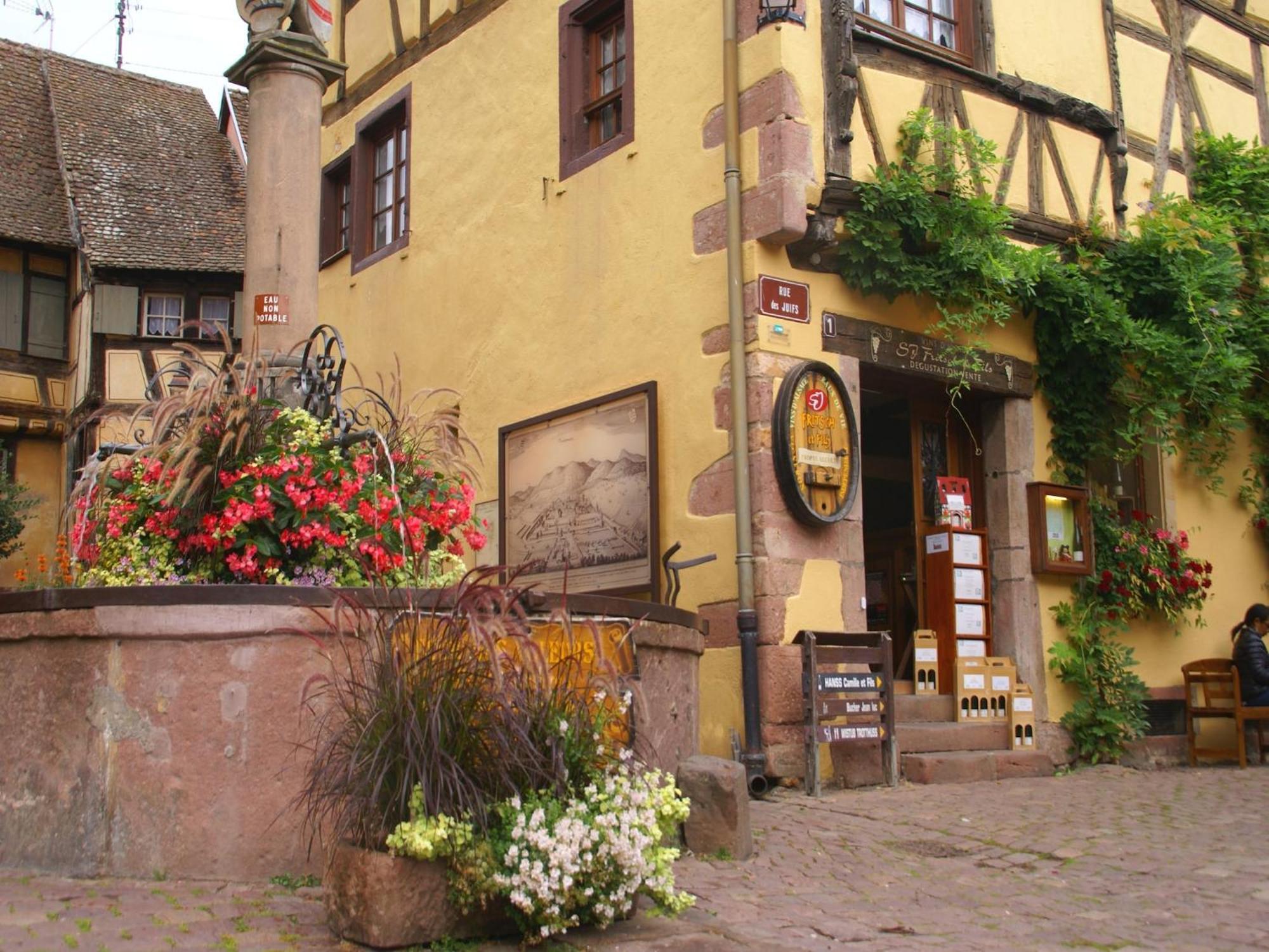 An Apartment In A 17Th Century Wine Grower S House Riquewihr Esterno foto