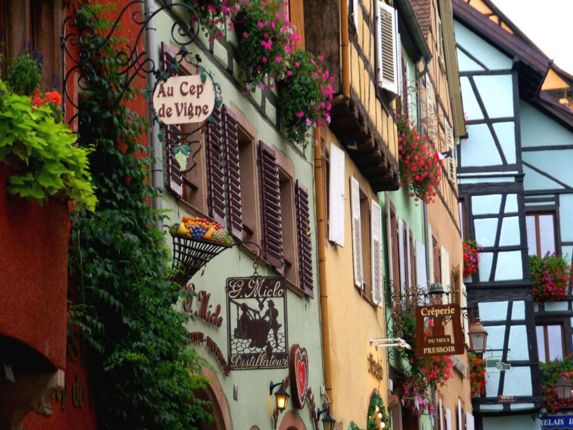 An Apartment In A 17Th Century Wine Grower S House Riquewihr Esterno foto